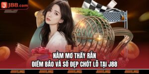 Nằm Mơ Thấy Rắn - Điềm Báo Và Số Đẹp Chốt Lô Tại J88